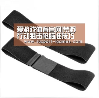 爱游戏体育官网|荒野行动狙击枪瞄准技巧 如何快速使用狙击枪瞄准到敌人(图2) 爱游戏官网