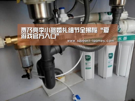 贾乃亮李小璐婚礼细节全揭秘“爱游戏官方入口”(图3) 爱游戏体育官网