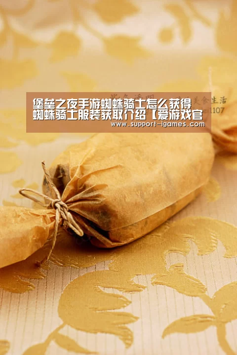 爱游戏官方入口