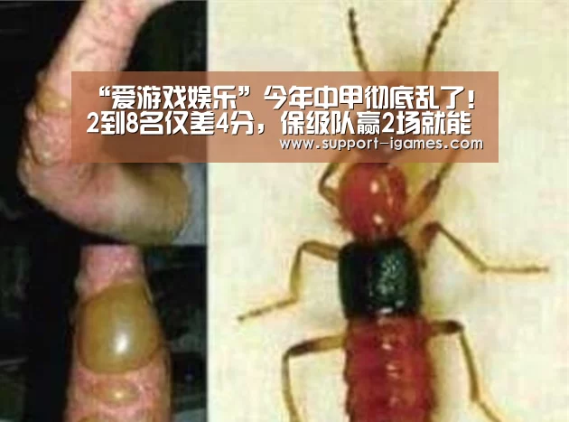 “爱游戏娱乐”今年中甲彻底乱了!2到8名仅差4分,保级队赢2场就能靠近冲超区(图2) 爱游戏官方入口